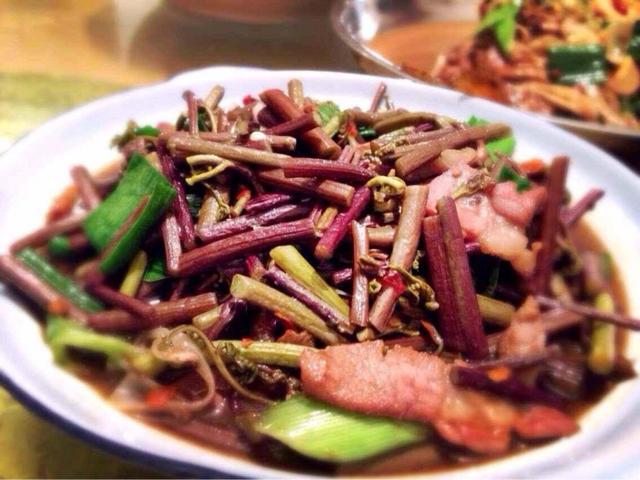 蕨菜致癌是真的吗，蕨菜的功效作用及危害（别因偏见误会这种植物了）