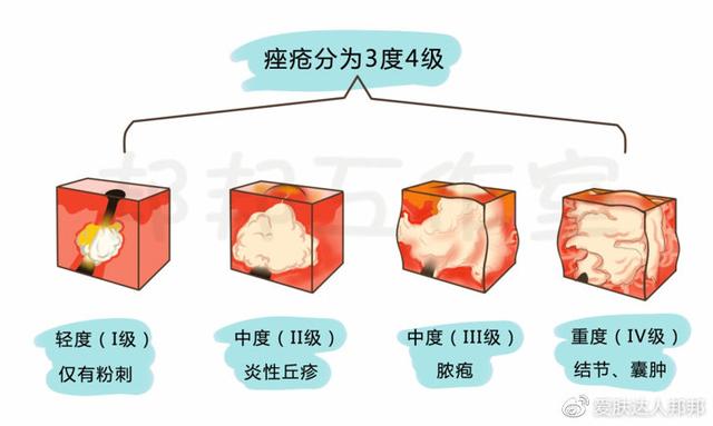 厨房燃气灶尺寸，厨房燃气灶尺寸一般多大（手残党拿起笔划重点了）