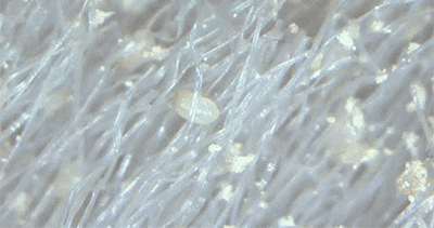 干发帽包头发的危害，干发帽真的能速干头发吗（3分钟干发告别辐射）