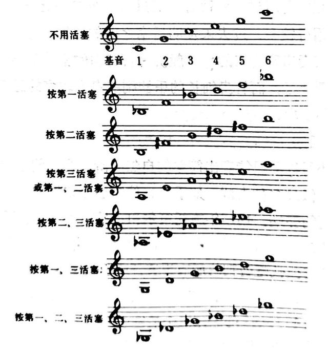 中国乐器和外国乐器的区别，中外乐器差异（乐器的音响原理——以弦乐器和管乐器为例）