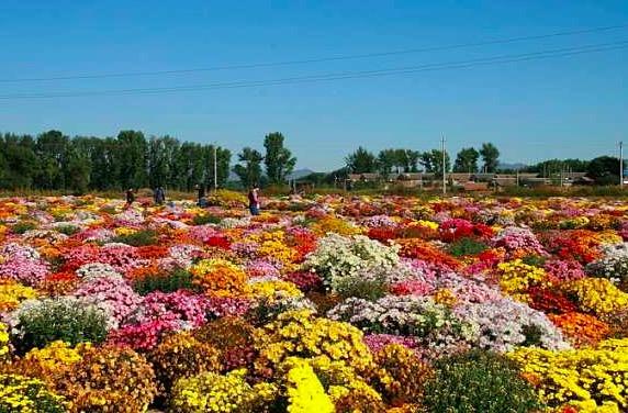 万籁俱寂是描写景色的吗，万籁俱寂情景描写（欧阳修对仗很工整的一首诗）