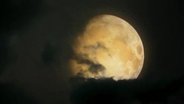 铜祖是什么东西，铜祖是什么东西图片（这座古墓似是跨越了几千年的时空）