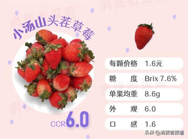 高档水果排行榜，高档水果排行榜琵琶（5元一颗的“白富美”草莓）