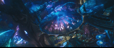 转发锦鲤真的可以给人带来好运吗，转发锦鲤朋友圈怎么说（转发这个海王所有锦鲤听你的是真的吗）