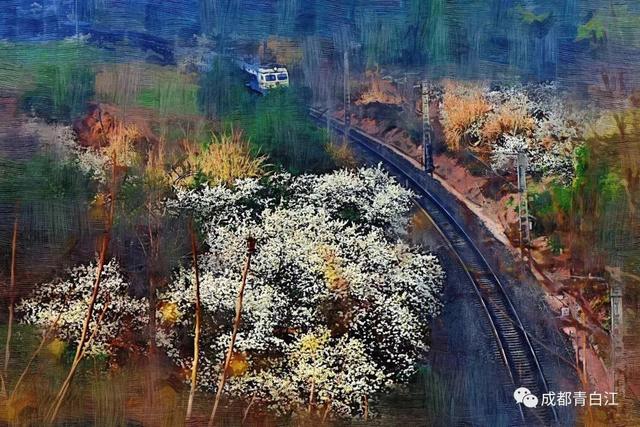 天府玫瑰谷！，天府玫瑰谷图片（距离成都主城区仅20公里）