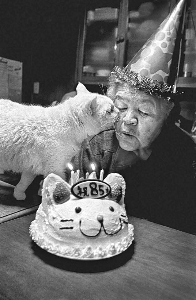 宋晓军的微博，宋晓军简历及民族（你能想象这个世界没有猫吗）