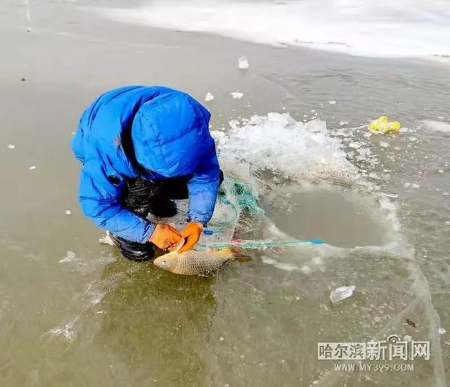 长寿湖钓鱼的最佳钓点，长寿湖适合钓鱼的农家乐推荐（30余处冬捕冬钓点公布丨我省发布2019-2020第四届冰雪渔业休闲活动计划）