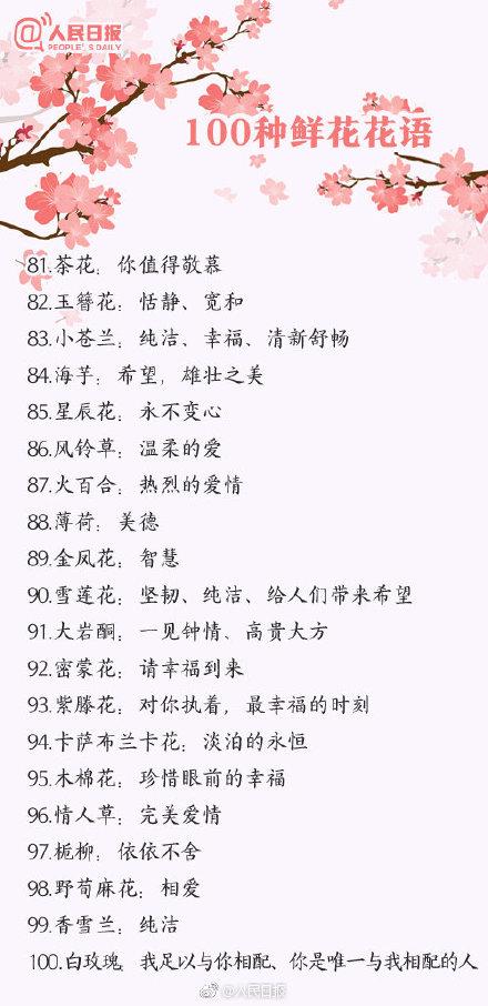 1到100朵玫瑰花语图表(1到100朵玫瑰花语图片)-寅森速头条