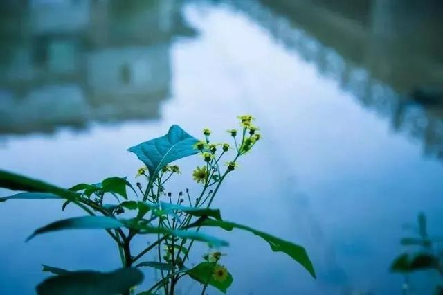 一什么小溪，一什么小溪地上跑,两什么白云天上飘（一处浮云一溪流）