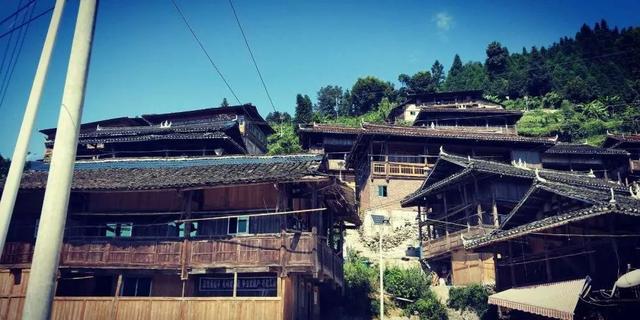 初产猪母难产掏不出会死吗，初产母猪难产多久会死（杨满弟家的“脱贫致富经”）