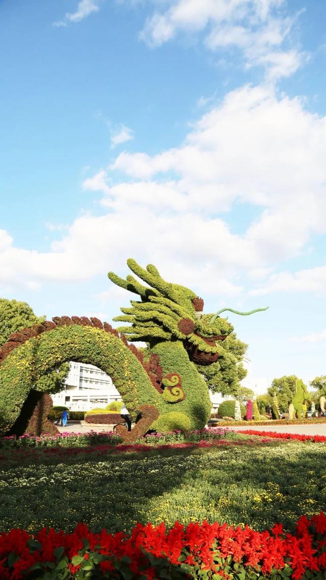 上海城建职业技术学院，2021年上海城建职业学院优势专业排名（沪上37所高校秋景手机壁纸来了）