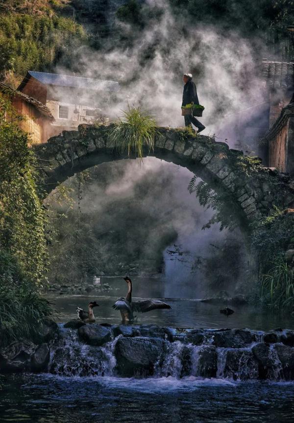 久违了表达什么意思，久违了什么意思（是中国人最好的生活方式）