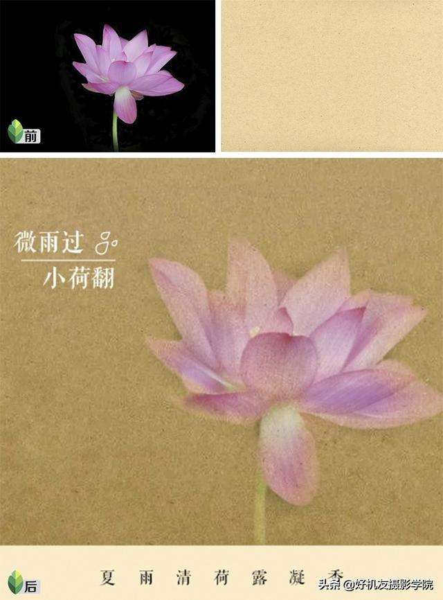 如何将照片制作黑白剪影的效果，照片怎么做成黑白剪影（如何用snapseed将手机照片制作成为图中图的二次曝光剪影效果）