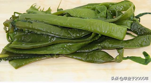 海菜种类大全集，海裙菜与紫菜区别（水产人带您认识一下大连海域常见的“海菜”）