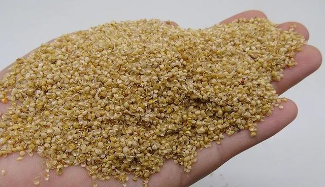 秕谷的拼音和意思,秕谷的拼音(秕谷 开心诵读)