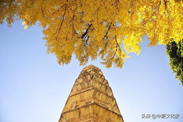 秋分的意思，秋色宜人的意思（俗话说“白露秋分夜）