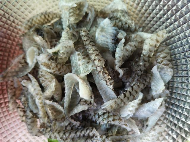 鲤鱼皮怎么做凉菜，连一向挑剔的孩子都抢着吃