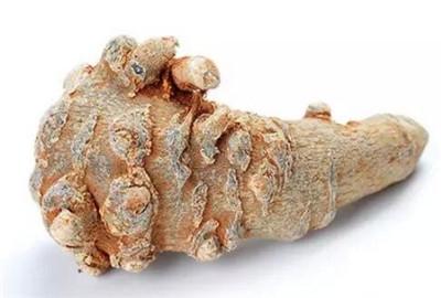 三七种植方法，盆栽三七图片（家种三七的种植方法、病虫害防治及优质丰产栽培技术）