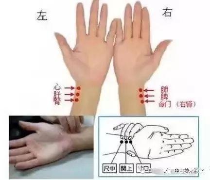 28种脉完全图解，如何把脉看怀孕（中医把脉歌诀----郎朗上口）