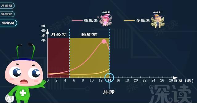 哪一种长期避孕药好，哪种避孕药会好一些（长效避孕药吃一片管一个月）