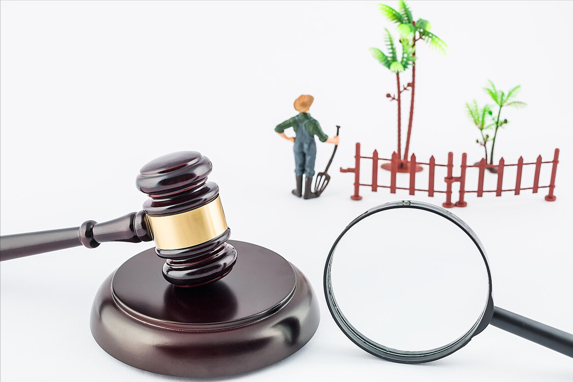 土地赔偿律师（村委会截留土地补偿款）