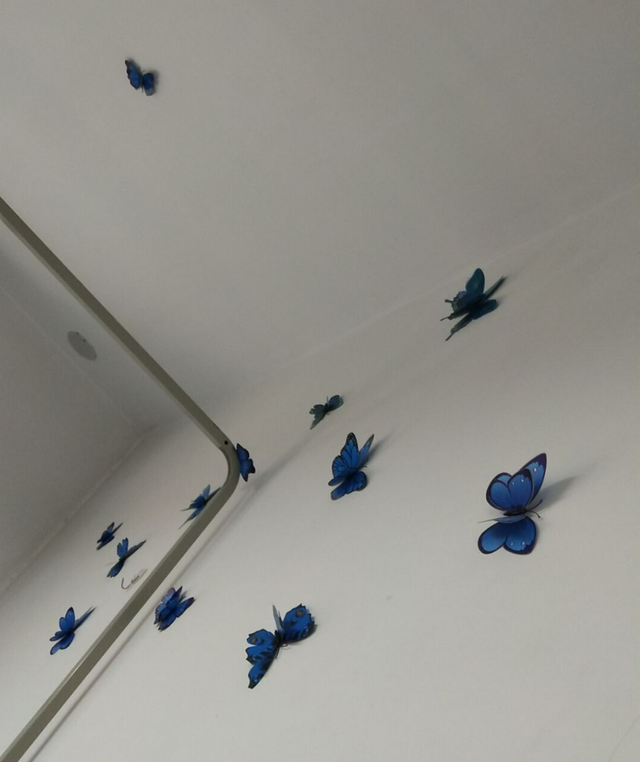 河南农业大学宿舍，河南农业大学招生录取规则和录取条件顺序政策解读2022参考（这份“寝室使用说明书”请按时查看）