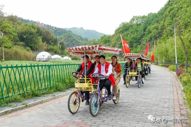 项目春游主题文案，春游策划文案（创兴团建丨踏青赏春光）