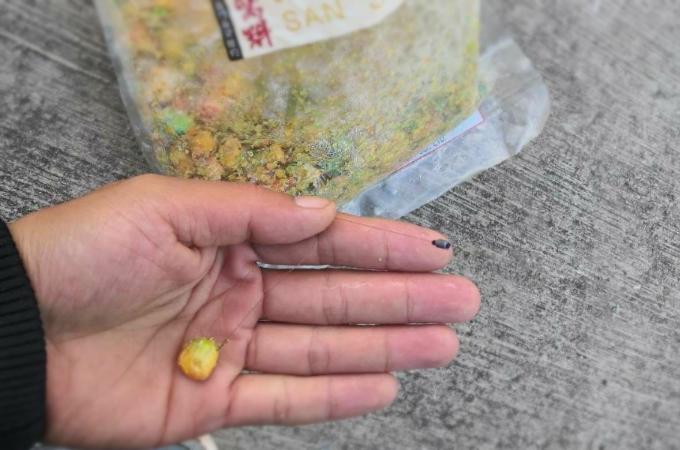 挂玉米钓鱼一整天无鱼咬钩？揭秘为何用玉米饵料半天也难有鱼口的原因