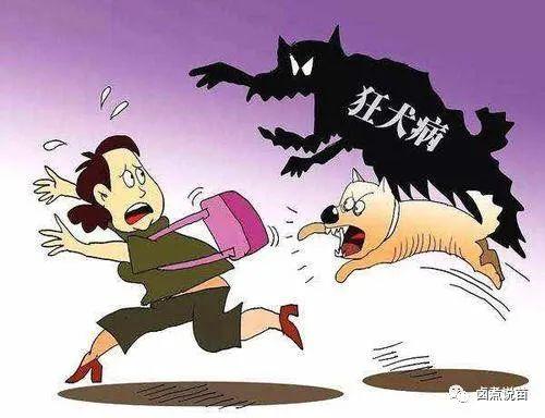 belgium是哪个国家，belgium是哪个国家（最新全球各个国家和地区的狂犬病分级）