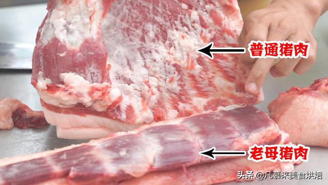 什么是母猪肉，猪肉都是母猪吗（猪肉各部位图解与介绍）