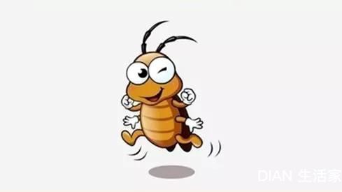 屋里全撒洗衣粉能除蟑螂吗，洗衣粉可以灭蟑螂（听说只需一勺洗衣粉）