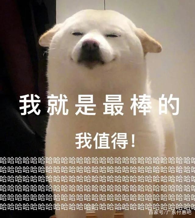 广东为什么重点大学少，广东为什么重点大学少些（广东人是怎么看待广东存在的各种无语事情）