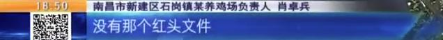 养鸡场投资多少钱，养1000只鸡需投资多少（男子投资200万元的养鸡场）
