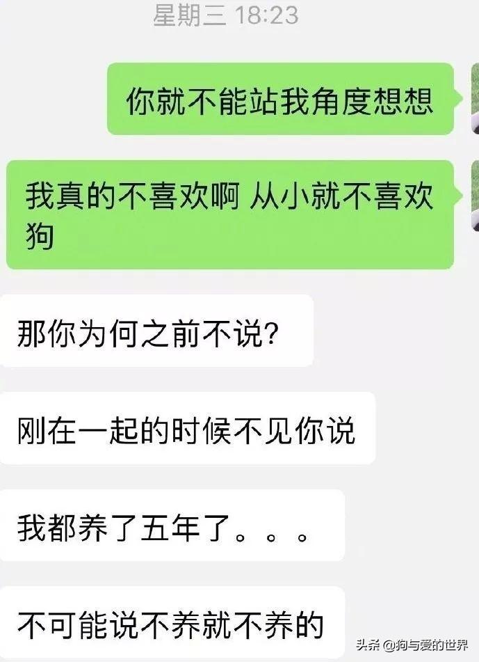 宠物狗怎么送走给别人看（送走宠物狗的正确方法和注意事项）