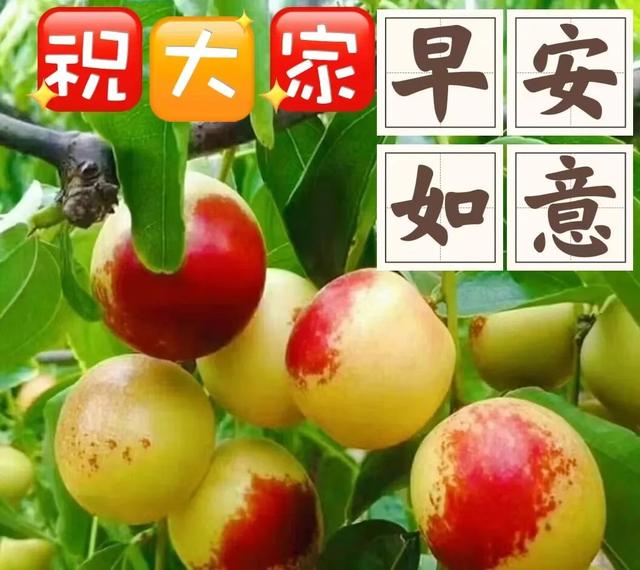 祝福全家的祝福语，2022年春节祝福语全家（直接群发家人朋友的早安祝福语精选大全）