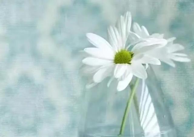 食色性也是谁说的，食色性也，是谁说的（最顶级的修行：养好自己的命）