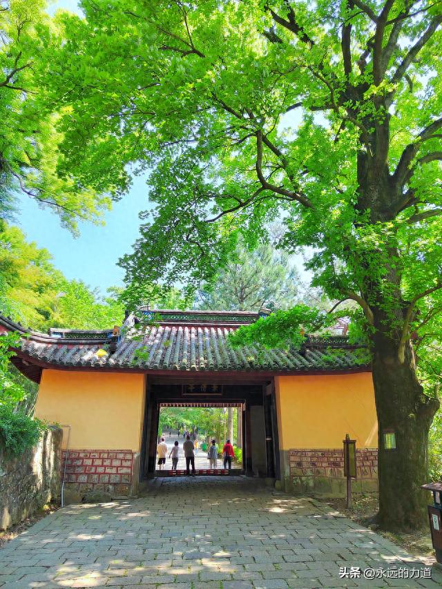 宁波天童寺——千年古刹东南佛国，月色满庭僧未归