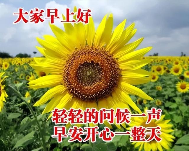 寓意吉祥的图片高清版，寓意吉祥的图片高清版大图（2022最新早上好表情包）