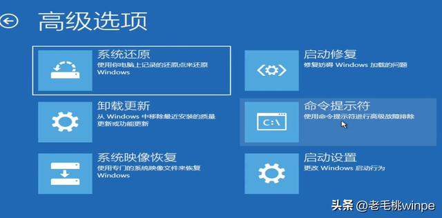什么是计算机病毒，号称“最恐怖”的电脑病毒（什么是计算机病毒计算机病毒的特点有哪些）