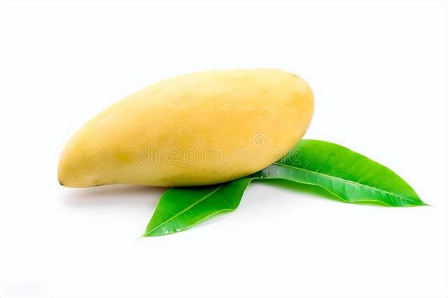 猫咪能吃什么水果，猫咪适合吃什么水果（这些夏季水果）