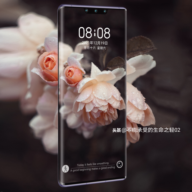 风景静物背景图|谢谢光临.，静物背景图片（花卉摄影壁纸图文解说）