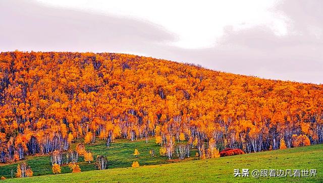 阿尔山的风景，《走进内蒙》景色迷人