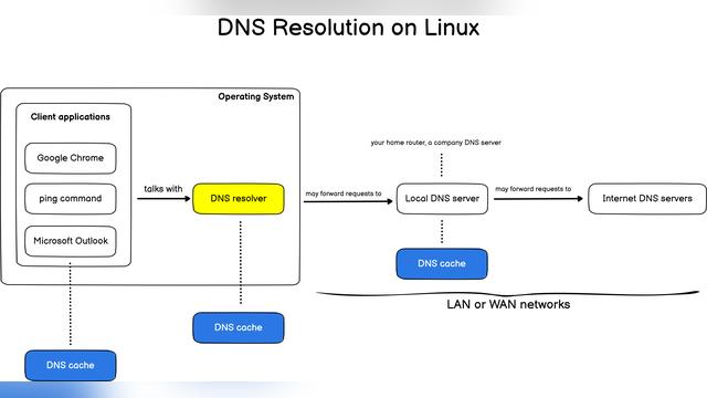 在Linux系统上刷新dns缓存(原理和方法)