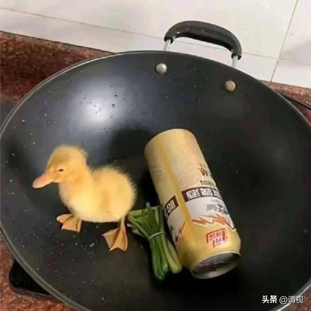 周黑鸭价格表，网红美食 ~周黑鸭好不好吃吗