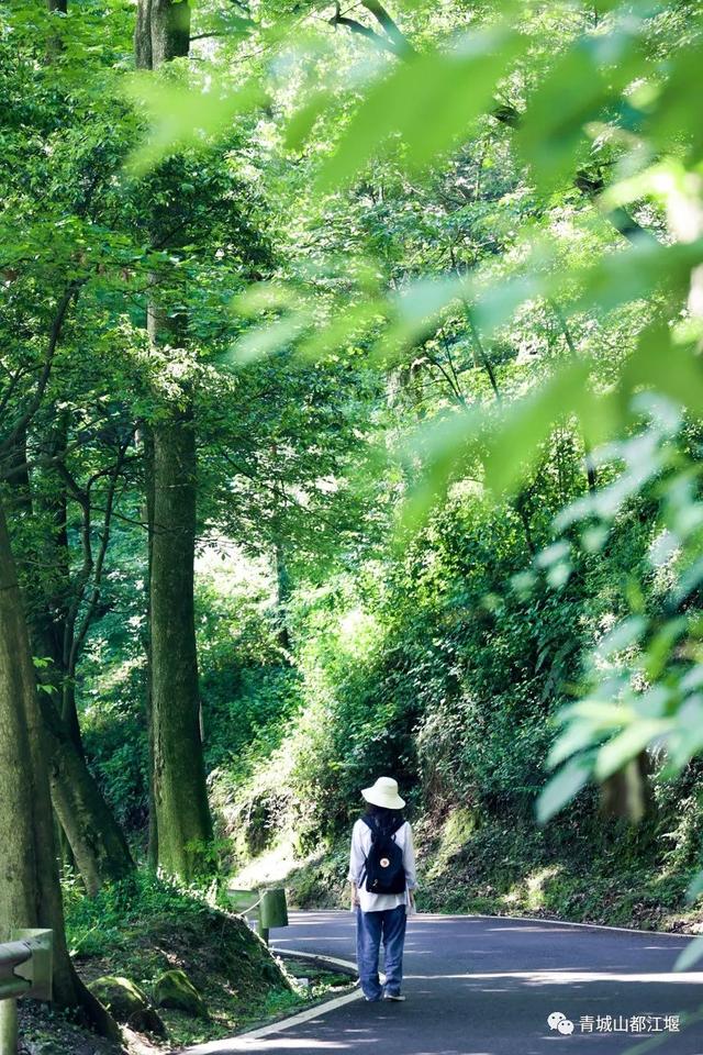 附近景区哪里好玩，宁波附近哪里好玩（大都1天打来回）