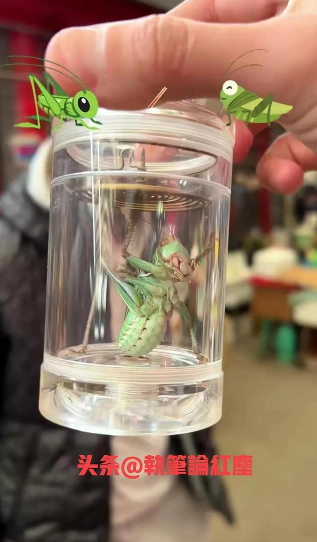 史蒂芬马布里近况如何，最新消息：马布里心情大好