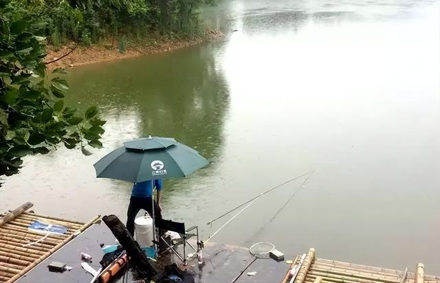 夏季钓鱼最佳时间，夏天钓鱼什么时候最佳时间（找准鱼“吃饭”的时间段）