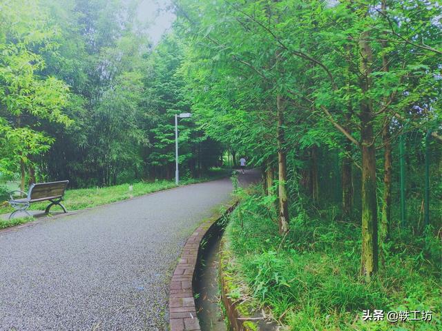 西南交大排名全国几位，西南交通大学排名全国第几位（国内8所“交通大学”近3年排名对比）