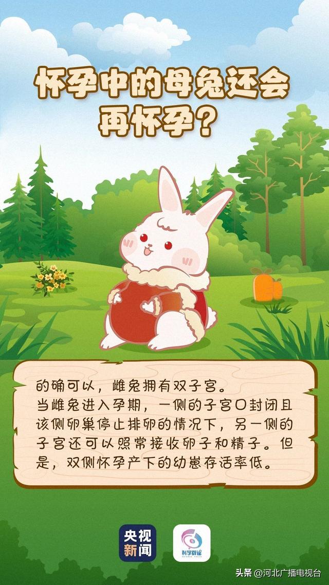 为什么兔子的眼睛是红色的，兔子的眼睛为什么是红色的（兔子眼睛是红色的）