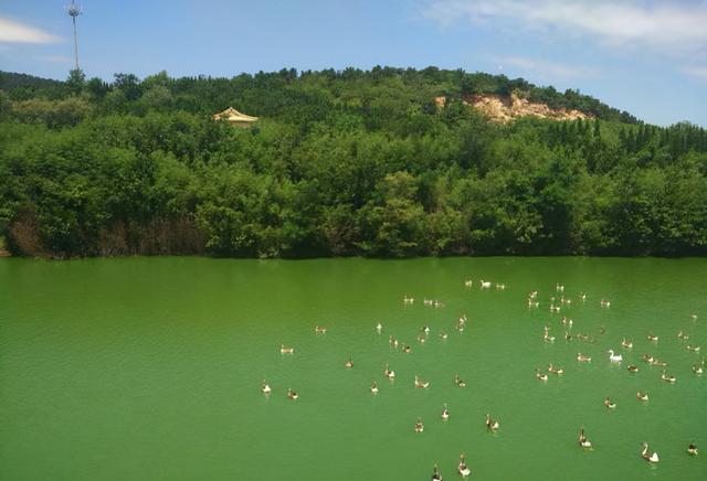 青岛景点介绍，青岛旅游景点介绍大全（10个推荐景点及周边玩法攻略）